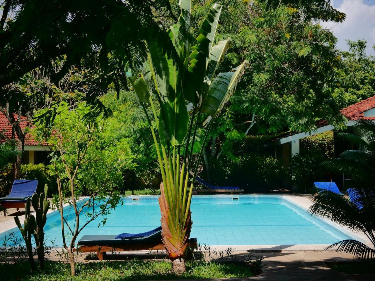 Diani Cottages 디아니 해변 외부 사진